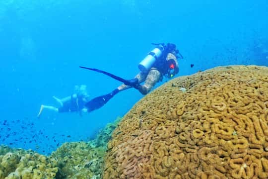 Scuba Diving Experience for All Levels