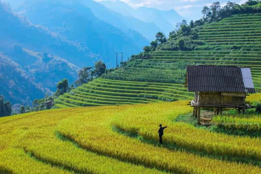 From Sapa: Full-Day Trek to Lao Chai and Ta Van Village
