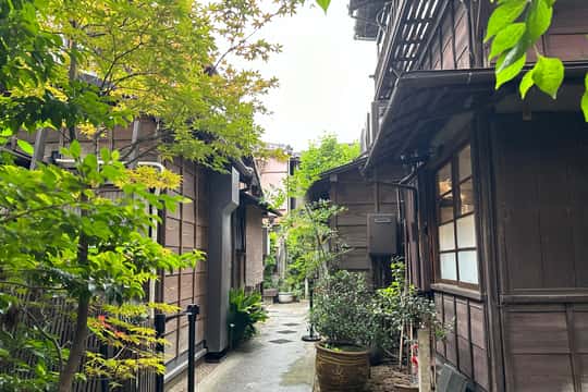 Stroll em Old traditional culture towns~Yanaka & Nezu · tokyo