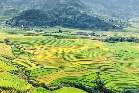 Sapa: Private Highlights Day Tour with Lunch