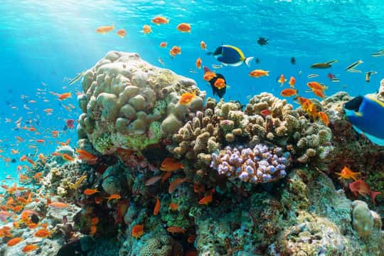 Nha Trang Half Day Snorkeling Trip