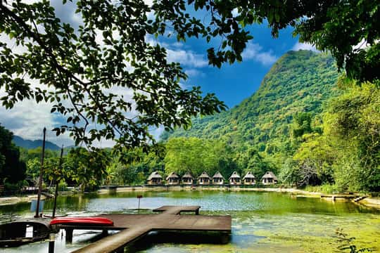 Cat Ba: Half-Day Trekking to Visit Cat Ba National Park