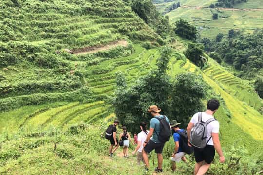 Featured tour with 3 reviews: Sapa: Trekking Y Linh Ho, Lao Chai & Ta Van Half-day Tour