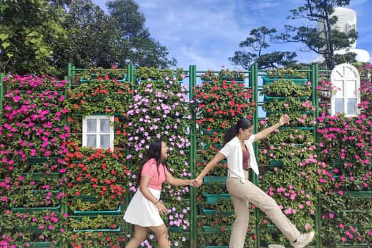 Featured tour with 44 reviews: Ba Na Hills And Golden Bridge Full-day Adventure
