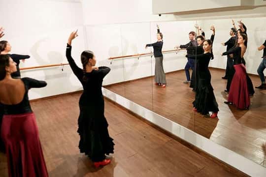 Feel the Beat: The Flamenco Art That Awakens Madrid · madrid