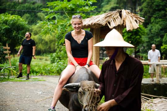 Buffalo riding, rice planting group tour