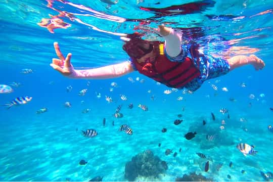 Da Nang/Hoi An: Cham Islands Snorkeling Trip with Lunch