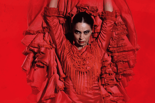 The Premium Experiência em Teatro Flamenco Madrid · madrid