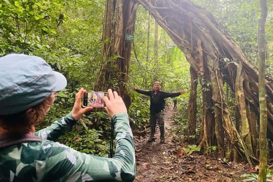 Full-Day Trekking in Cat Ba National Park to Viet Hai Village