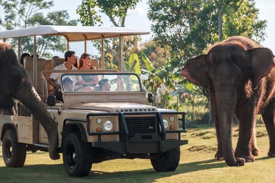 Guided Ethical Elephant Care Experience — photo 7
