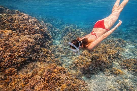 Quy Nhon: Nhon Ly Snorkeling and SUP Half-Day Tour