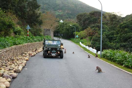 Da Nang/Hoi An: Explore Son Tra Peninsula by US Army Jeep