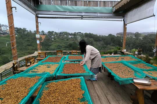Experience specialty coffee with sustainable coffee farmers
