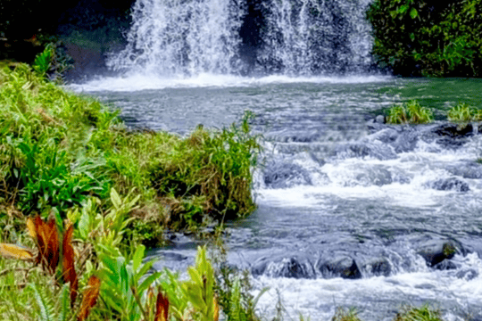 Road to Hāna waterfall day