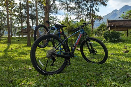 Guided Mountain Bike Tour with Lunch