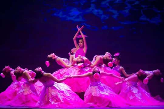 Charming Da Nang Show Ticket