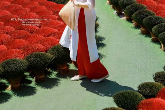 Private tour price range for Shopping Tours from Hanoi from 32 USD and average 32 USD Private tour price range for Shopping Tours from Hanoi from 32 USD and average 32 USD