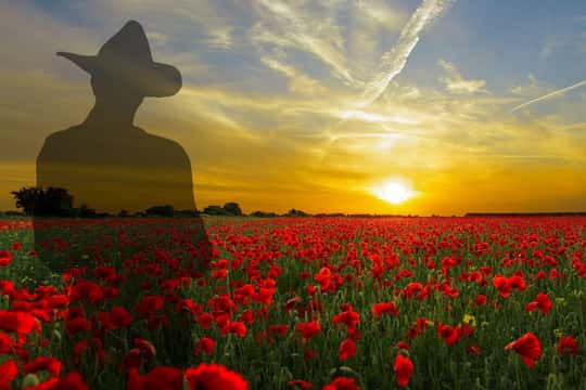 Gallipoli and Anzac Full-Day Tour — photo 8
