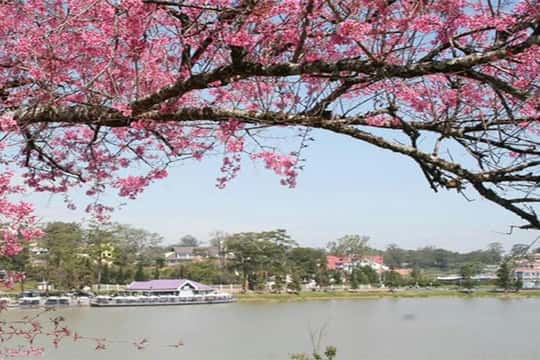 1 Day Trip: Best Seller Top Site Luxury Da Lat City Trip