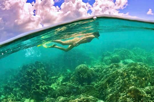 Luxury Tour: Private Half-Day Crowd-Free Snorkeling (AM/PM)