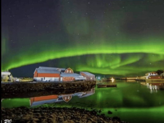 Lofoten: caza de auroras boreales en minibús, grupo reducido