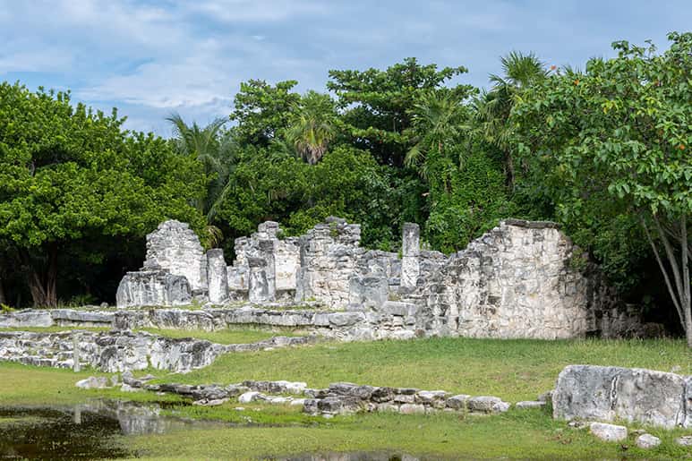 Ruinas rodeadas de vegetación en El Rey, Cancún.