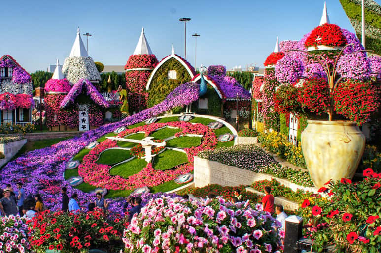 Visiting Miracle Garden: Your Comprehensive FAQ Guide