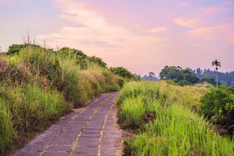 A scenic pathway surrounded by lush greenery under a colorful sunset sky.