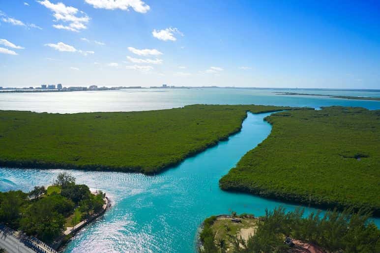 Vista aérea de exuberantes manglares verdes en la laguna Nichupté de Cancún.