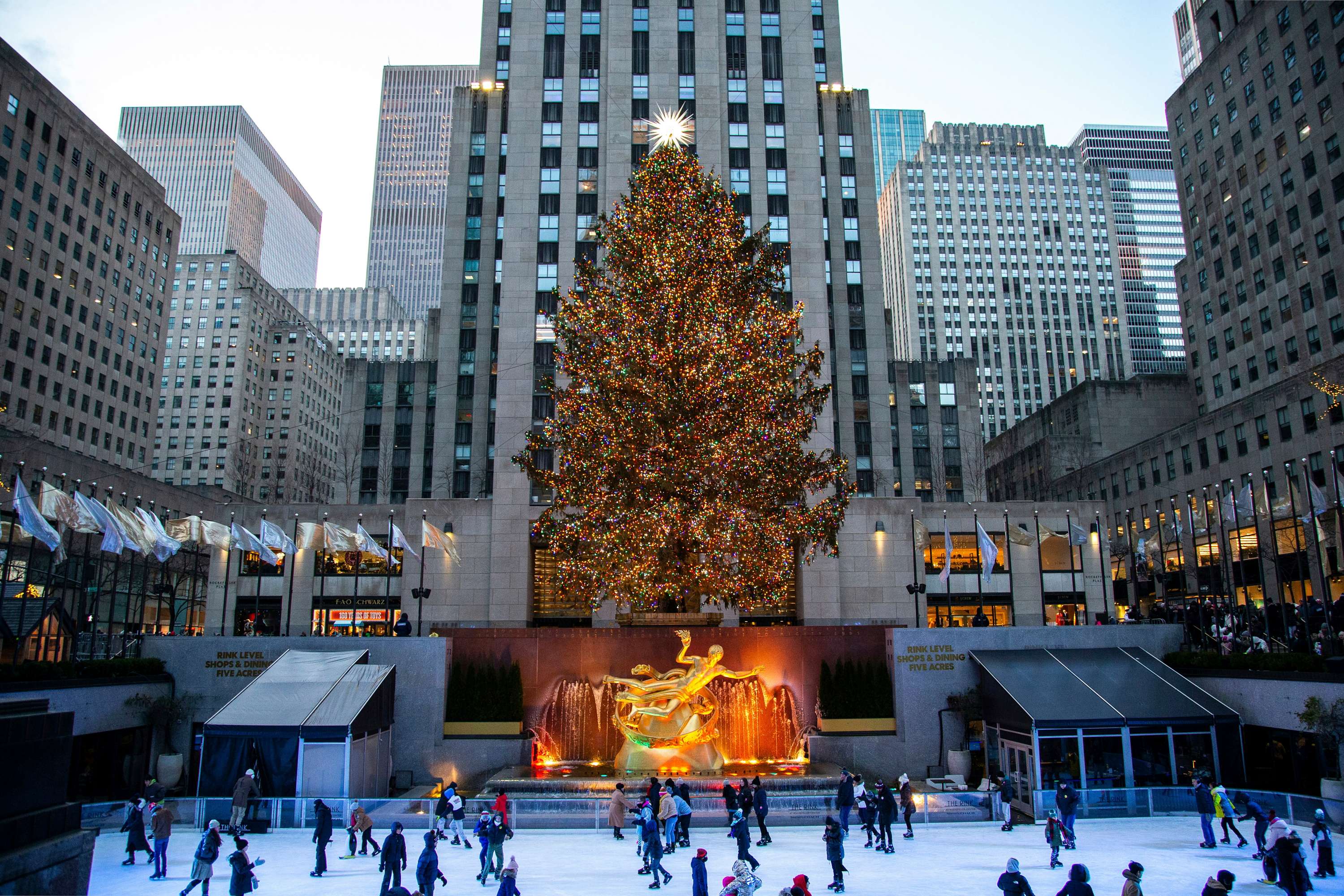 Weihnachtsbeleuchtung in New York: Die 10 beeindruckendsten Weihnachtsdekorationen