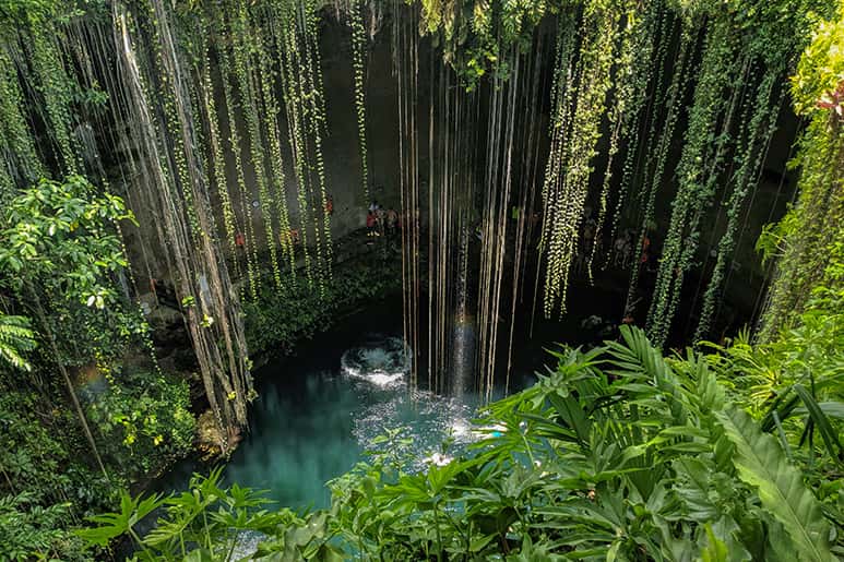Un sereno cenote rodeado de vegetación colgante a lo largo de La Ruta de los Cenotes.
