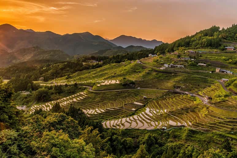 A scenic view of terraced fields with a sunset in the background.