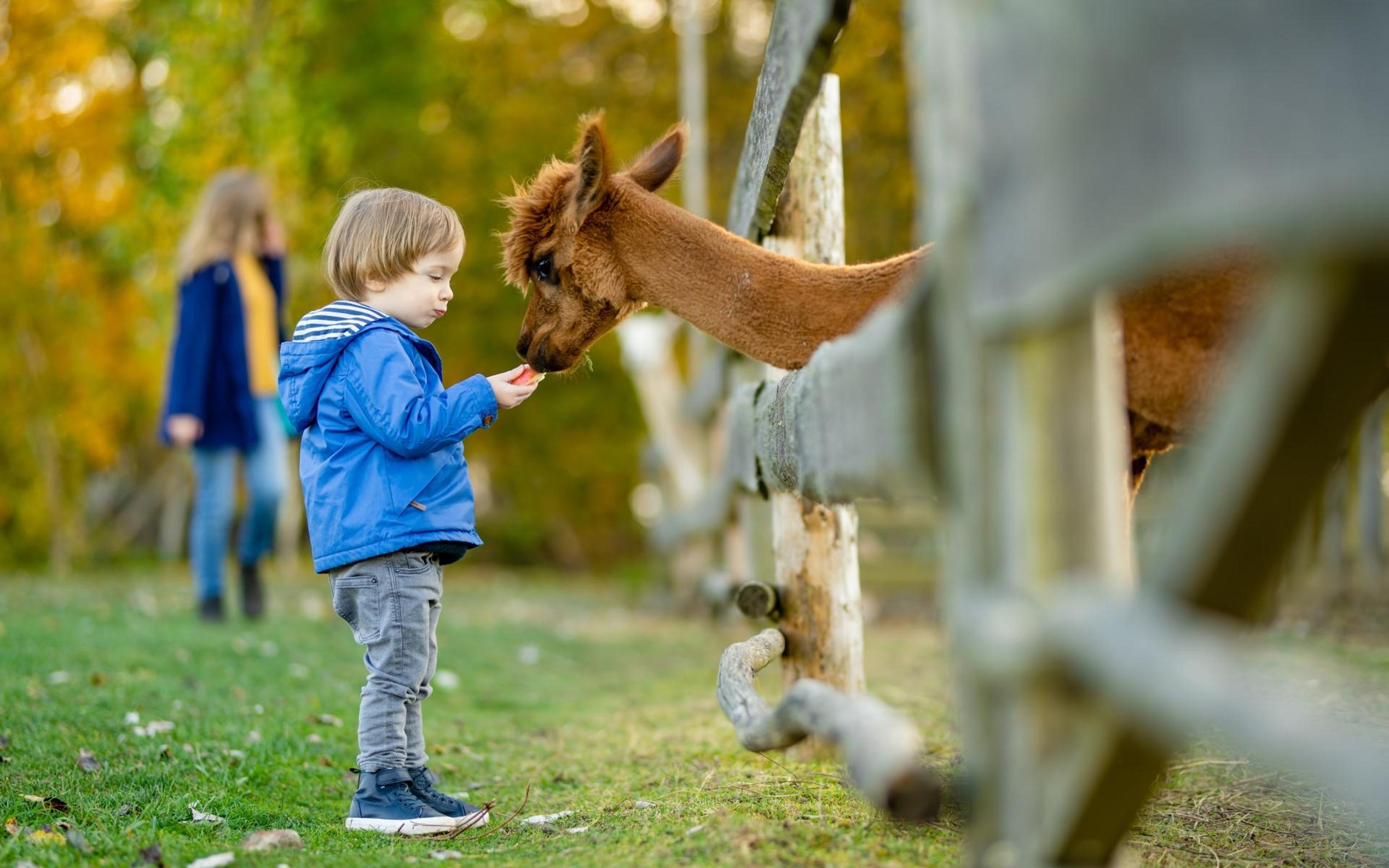 Private Transport to Berlin Zoo with Skip-the-line Ticket - 2026 (Verified Reviews)