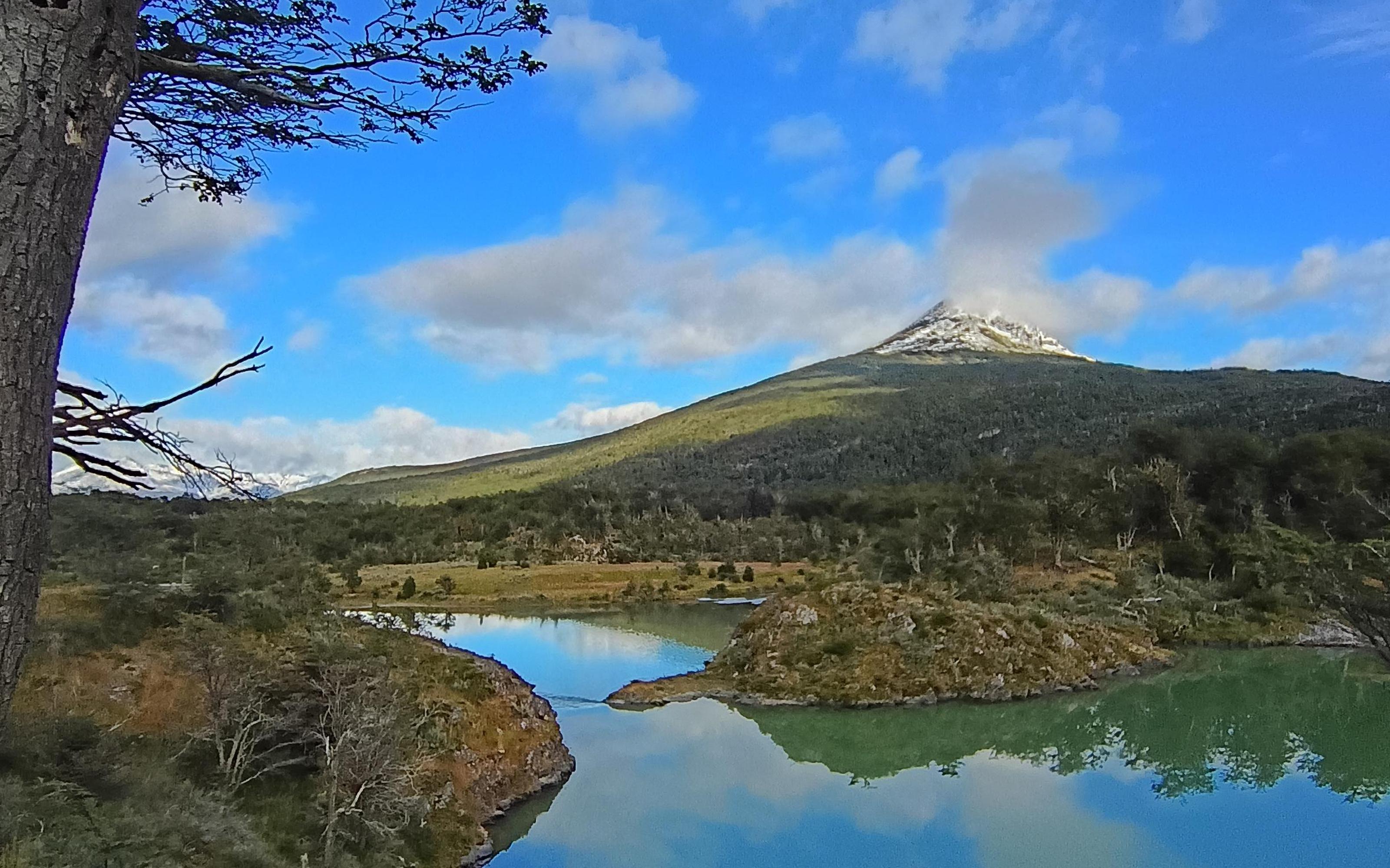 USHUAIA: TIERRA DEL FUEGO NATIONAL PARK & TRAIN (optional) sightseeing tour - 2026 (Verified Reviews)