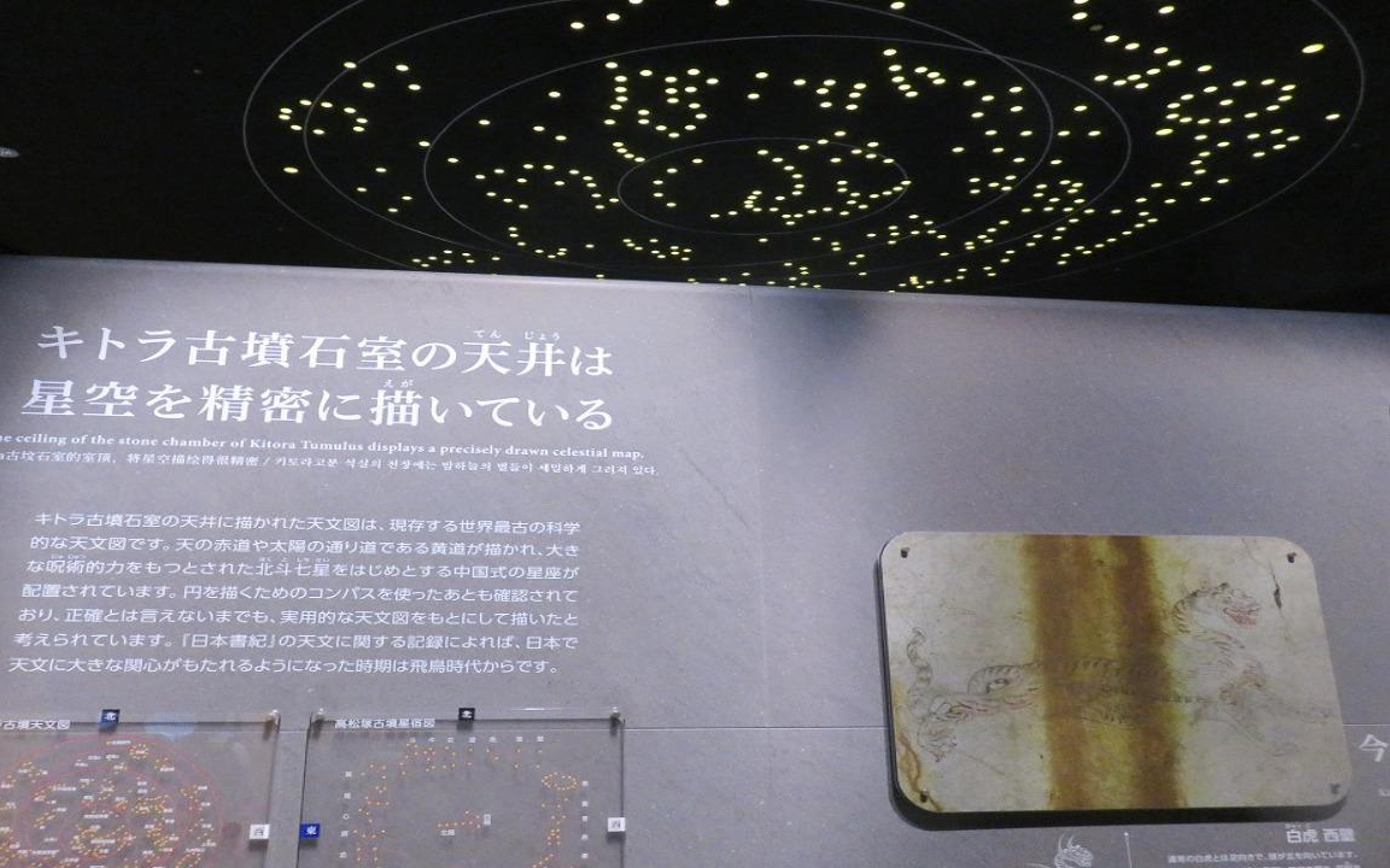 New UNESCO: Asuka-Fujiwara & Nara Highlights Private Tour - 2026 (Verified Reviews)