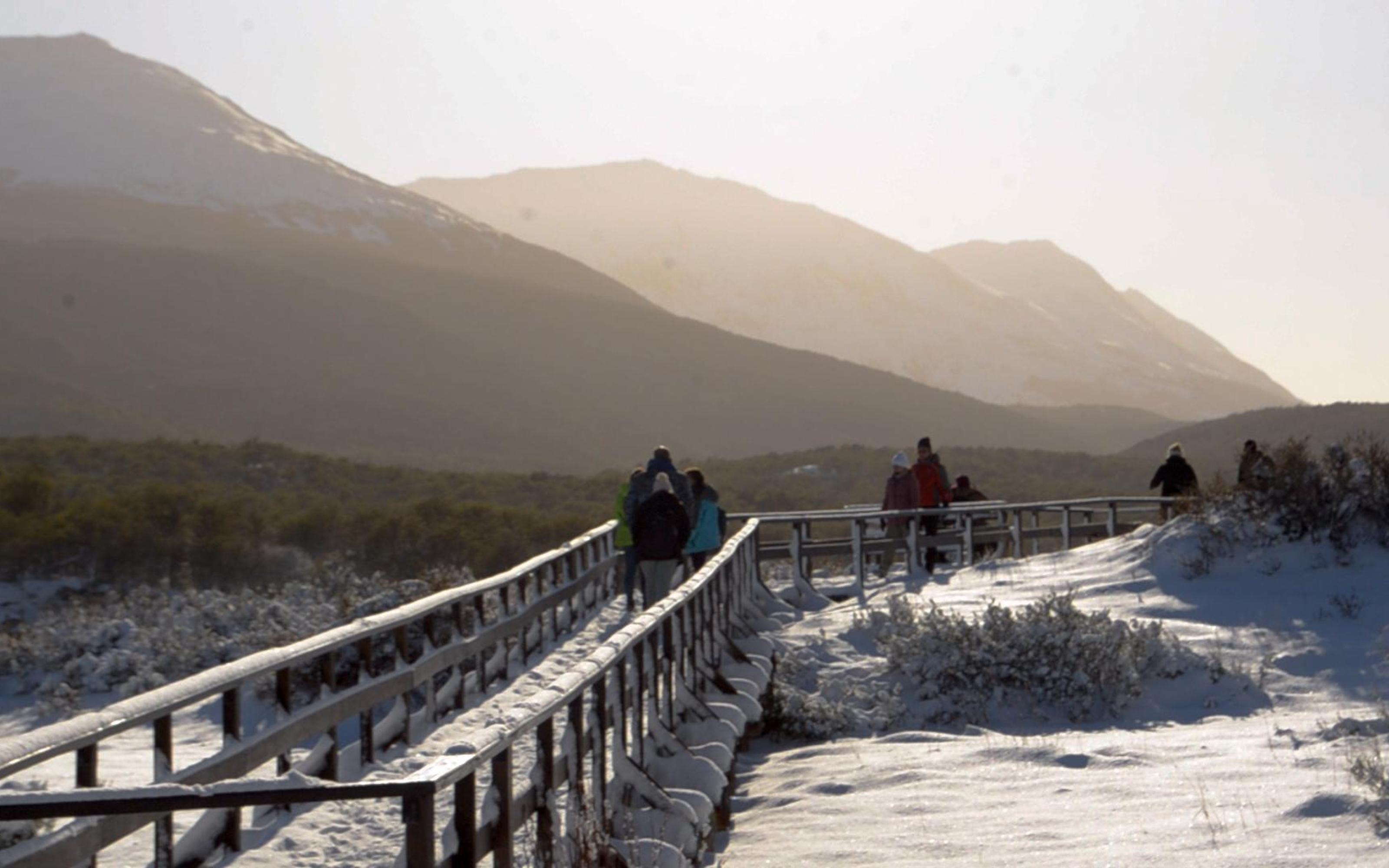 Ushuaia: Tierra del Fuego National Park - 2026 (Verified Reviews)