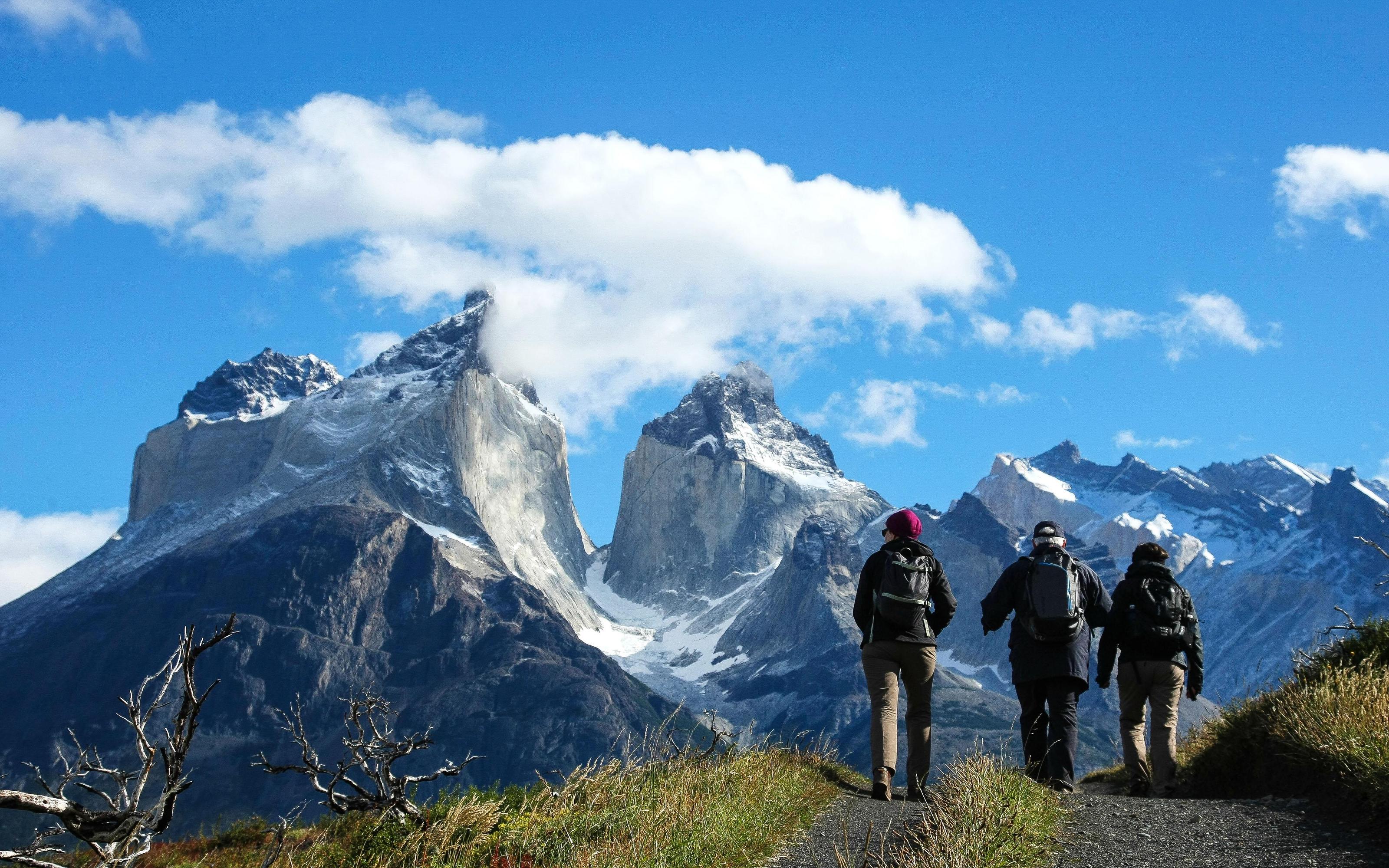 Full-Day Torres del Paine National Park from El Calafate - 2026 (Verified Reviews)