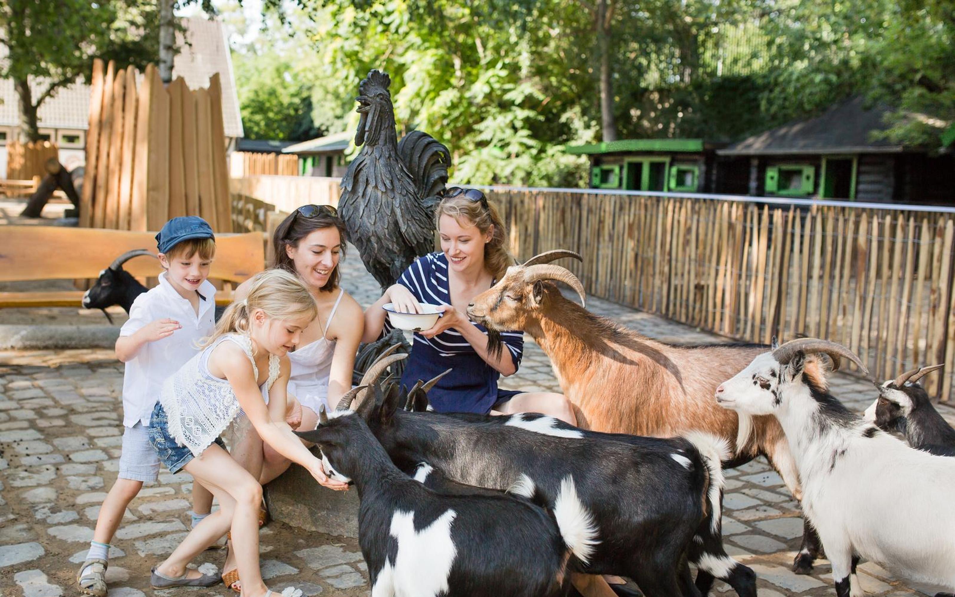 Berlin Zoo tickets - animals at Zoologischer Garten Berlin — image 3