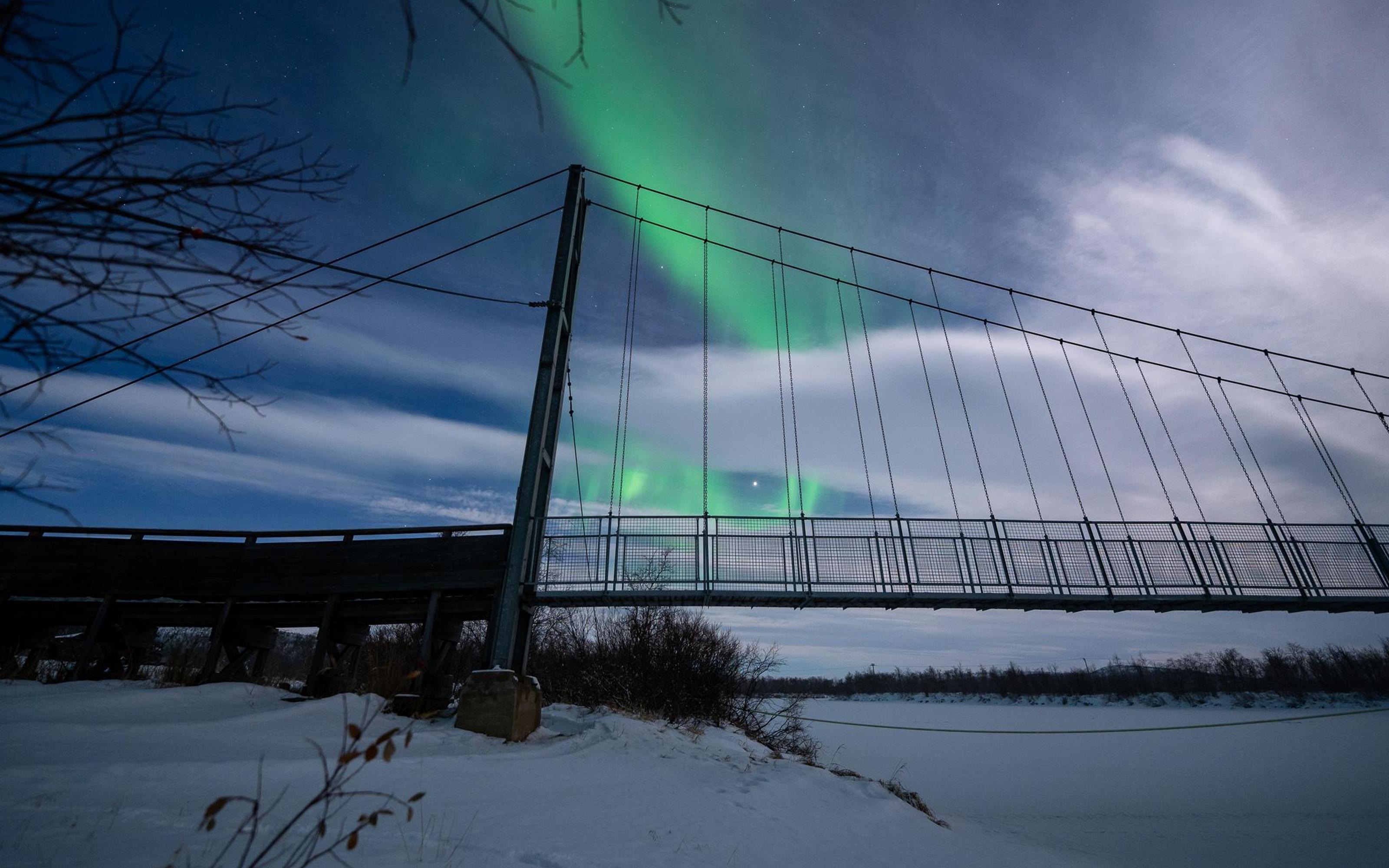 Tromso: Northern Lights Private Tour with Dinner - 2026 (Verified Reviews)