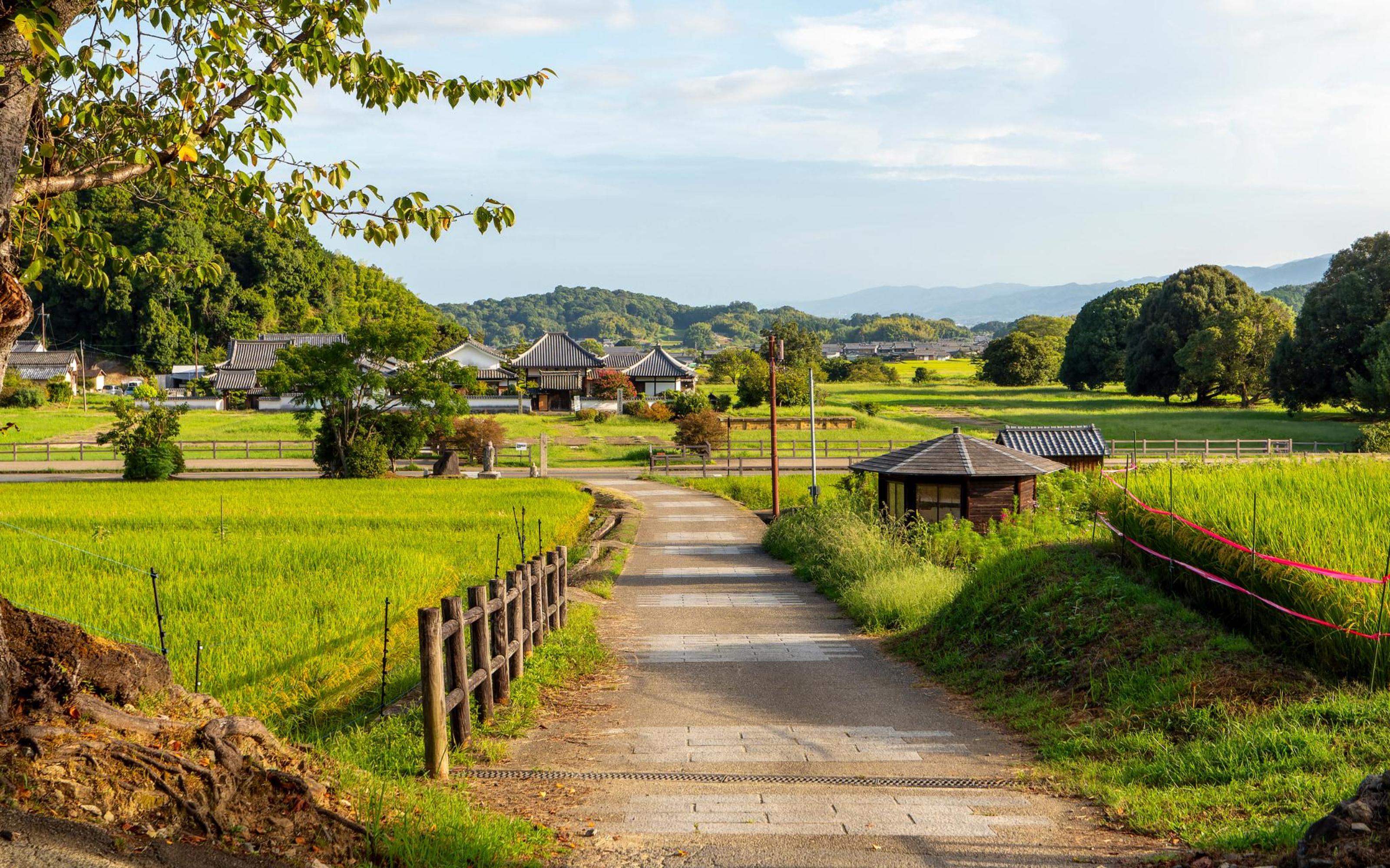 Asuka: Historical Cycling Tour with Guide and Bike Rental - 2026 (Verified Reviews)