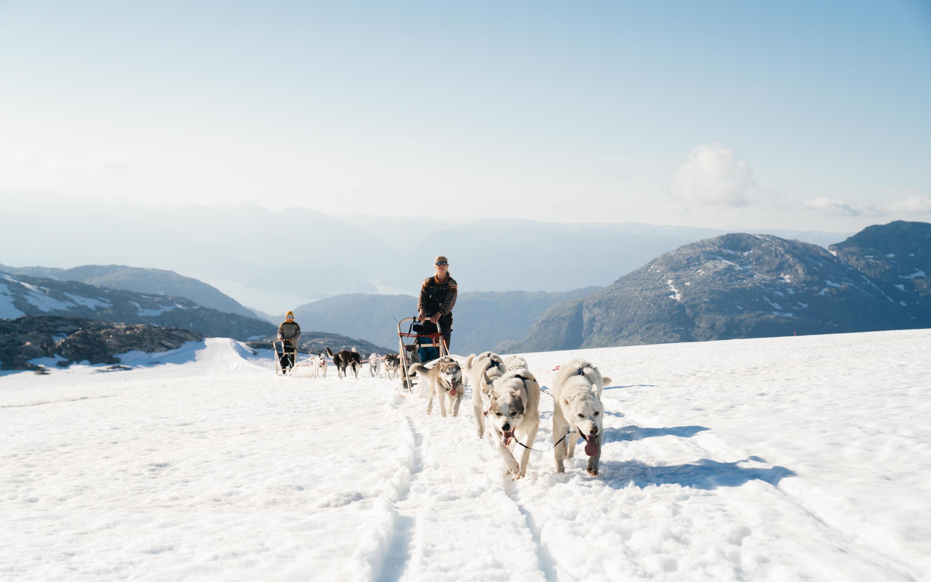 Tromsø: Dog Sledding Tour - 2026 (Verified Reviews)