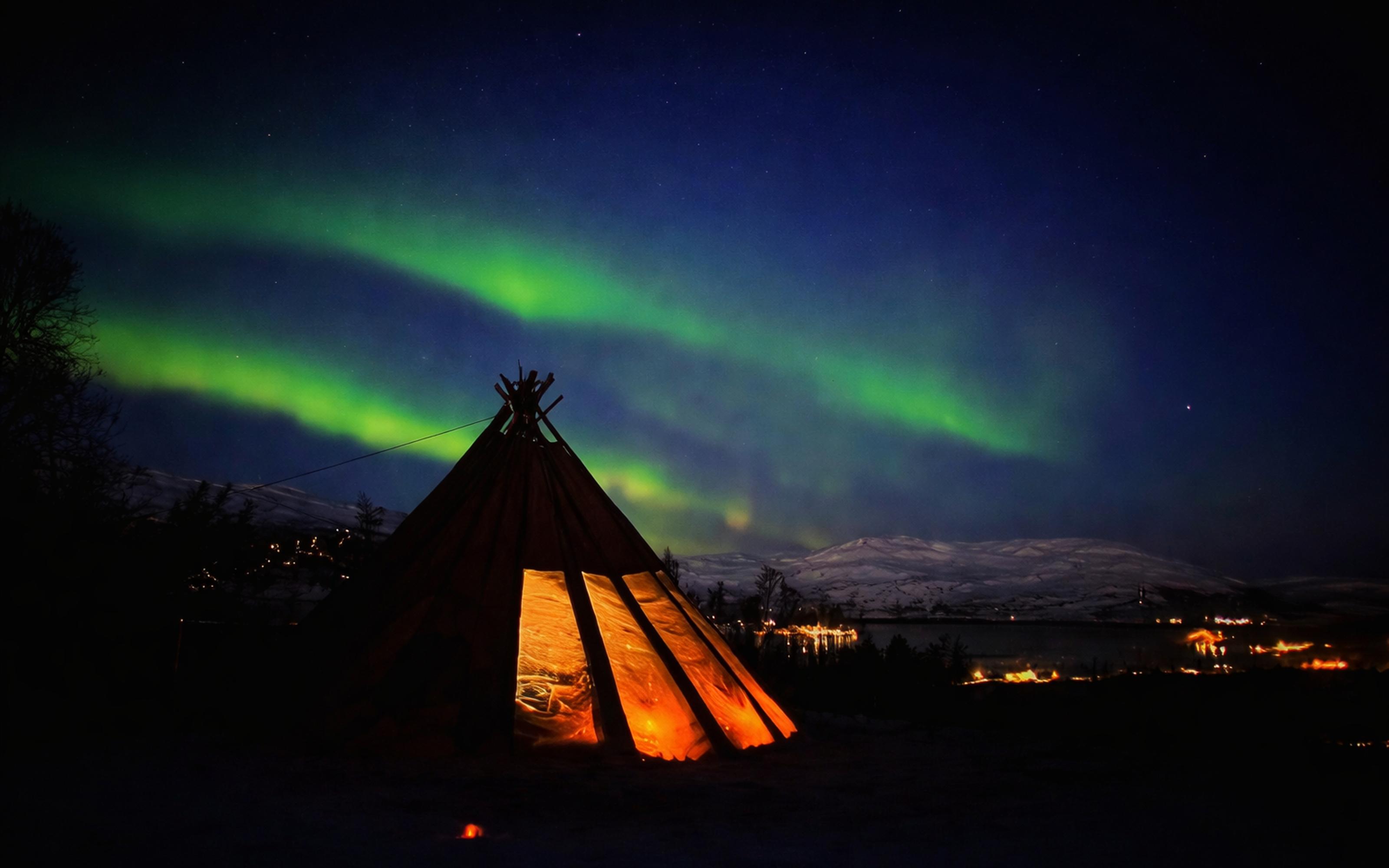 Tromsø: Dog Sledding Tour - 2026 (Verified Reviews)