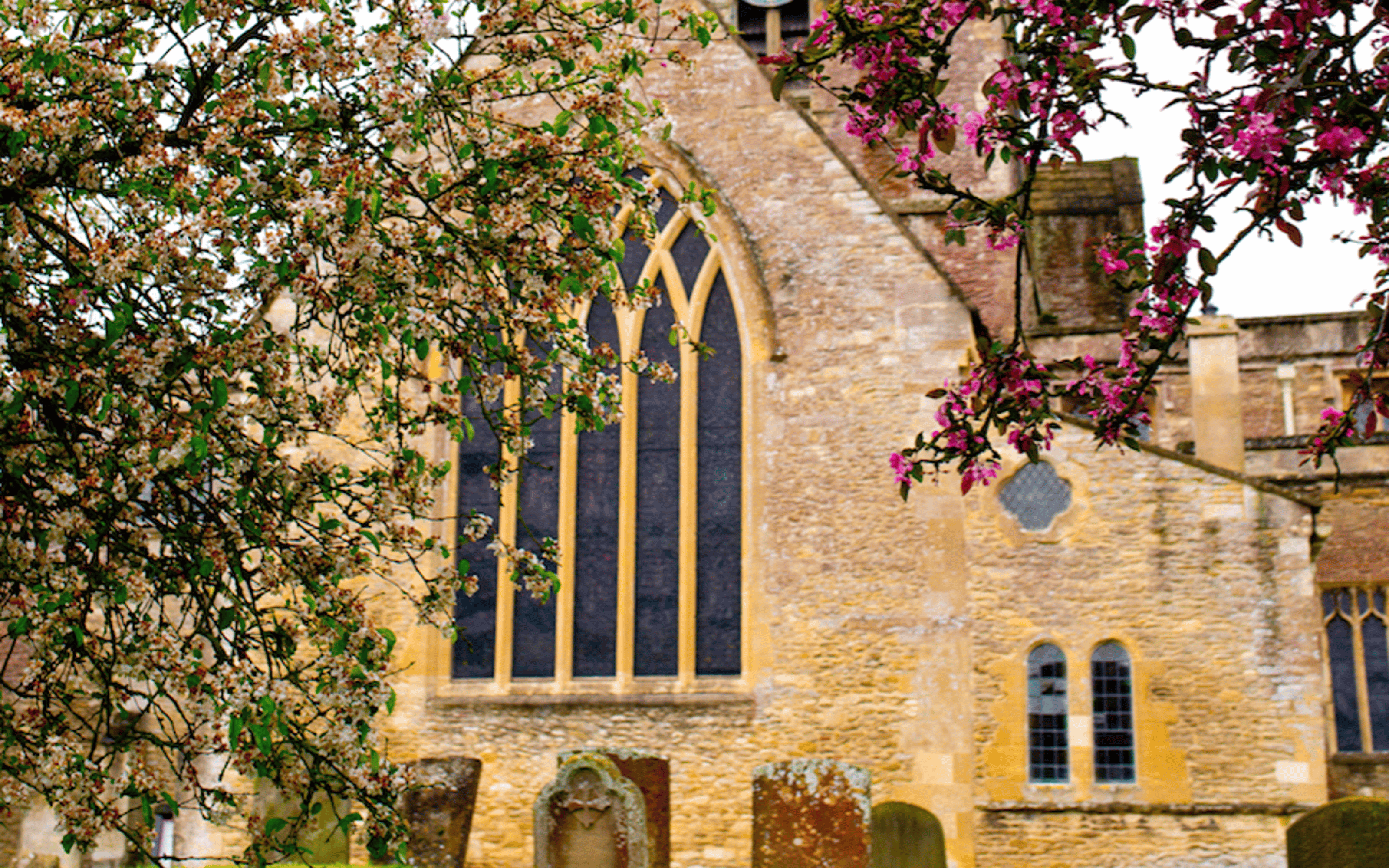 Highclere Castle day tour - the real Downton Abbey in Hampshire — image 3
