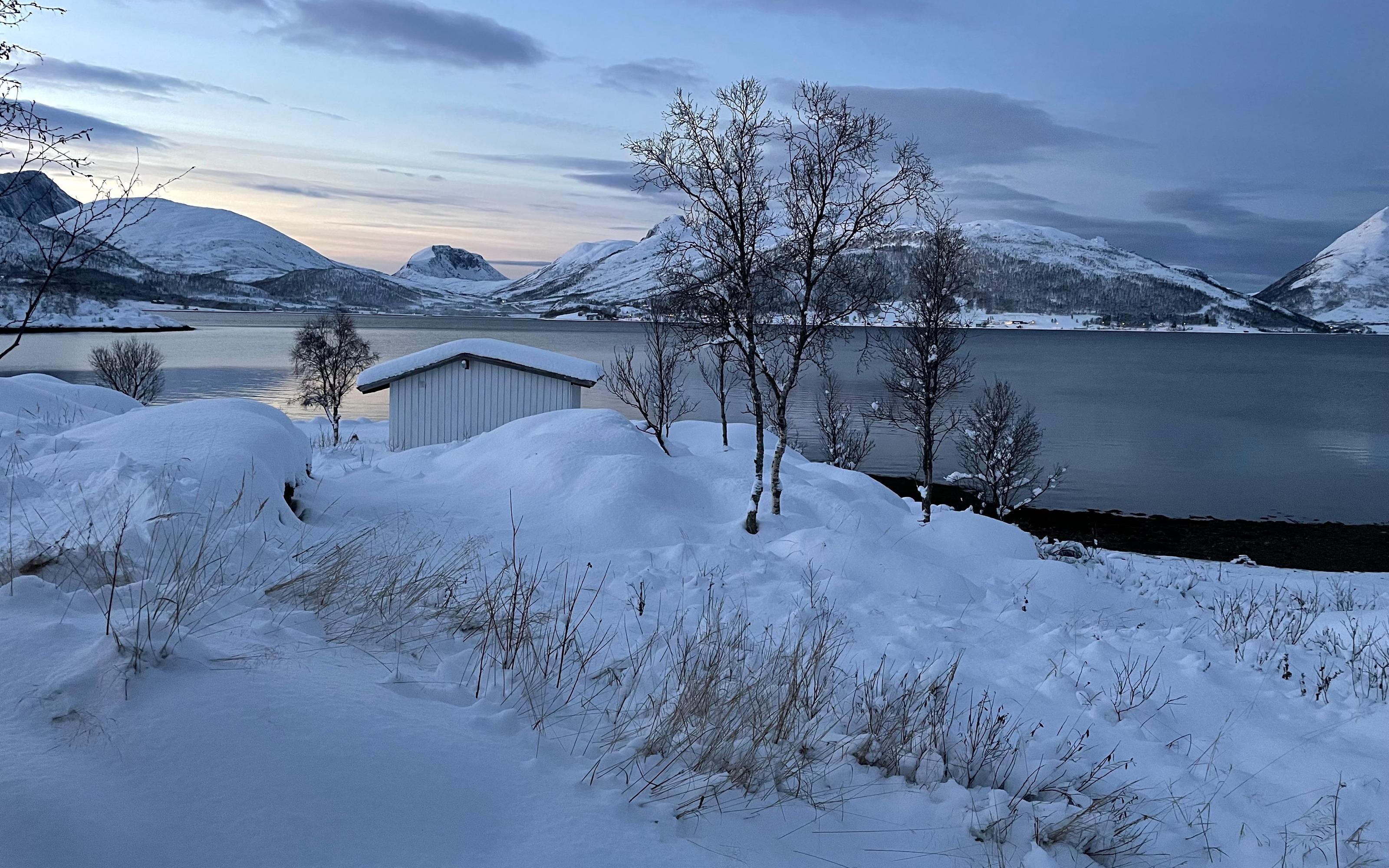 Senja island: Winter light package, 2 nights, pickup Tromsø! - 2026 (Verified Reviews)