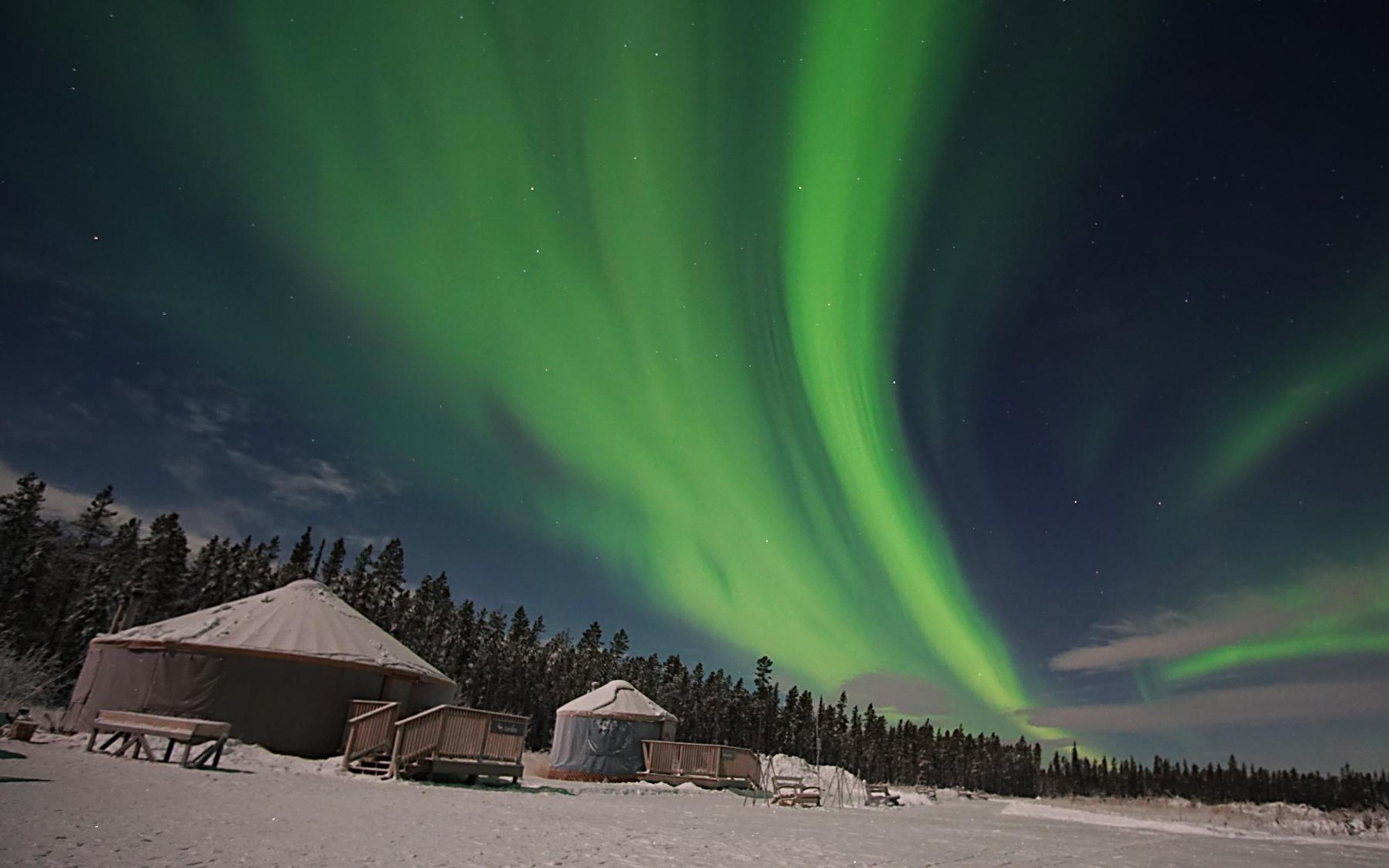 Whitehorse northern lights - aurora borealis over the Yukon — image 3