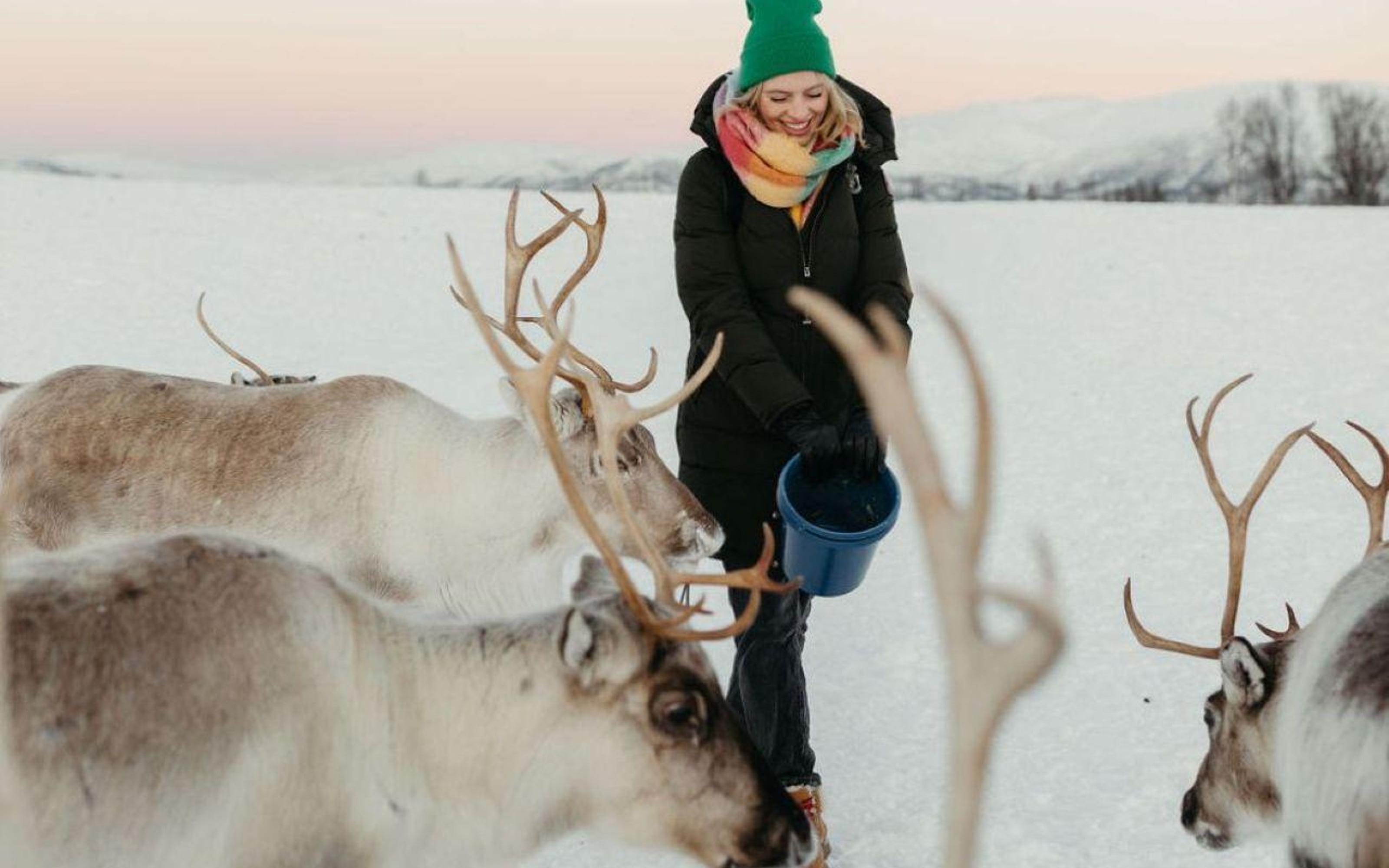 Tromsø: Reindeer Camp and Sami Cultural Tour with Lunch - 2026 (Verified Reviews)