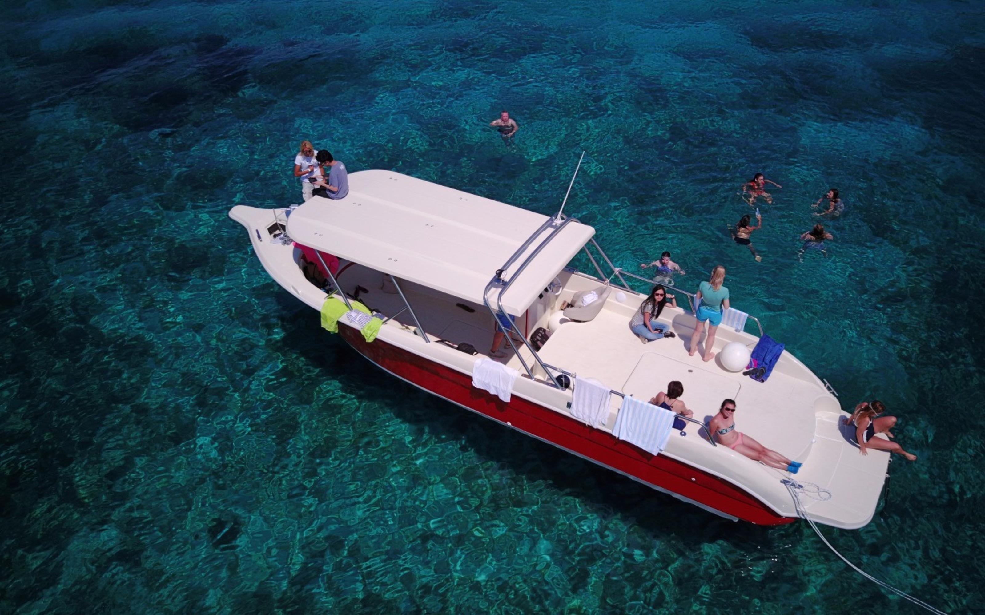 Hvar: Private Blue Cave and Vis Speedboat Tour - 2026 (Verified Reviews)