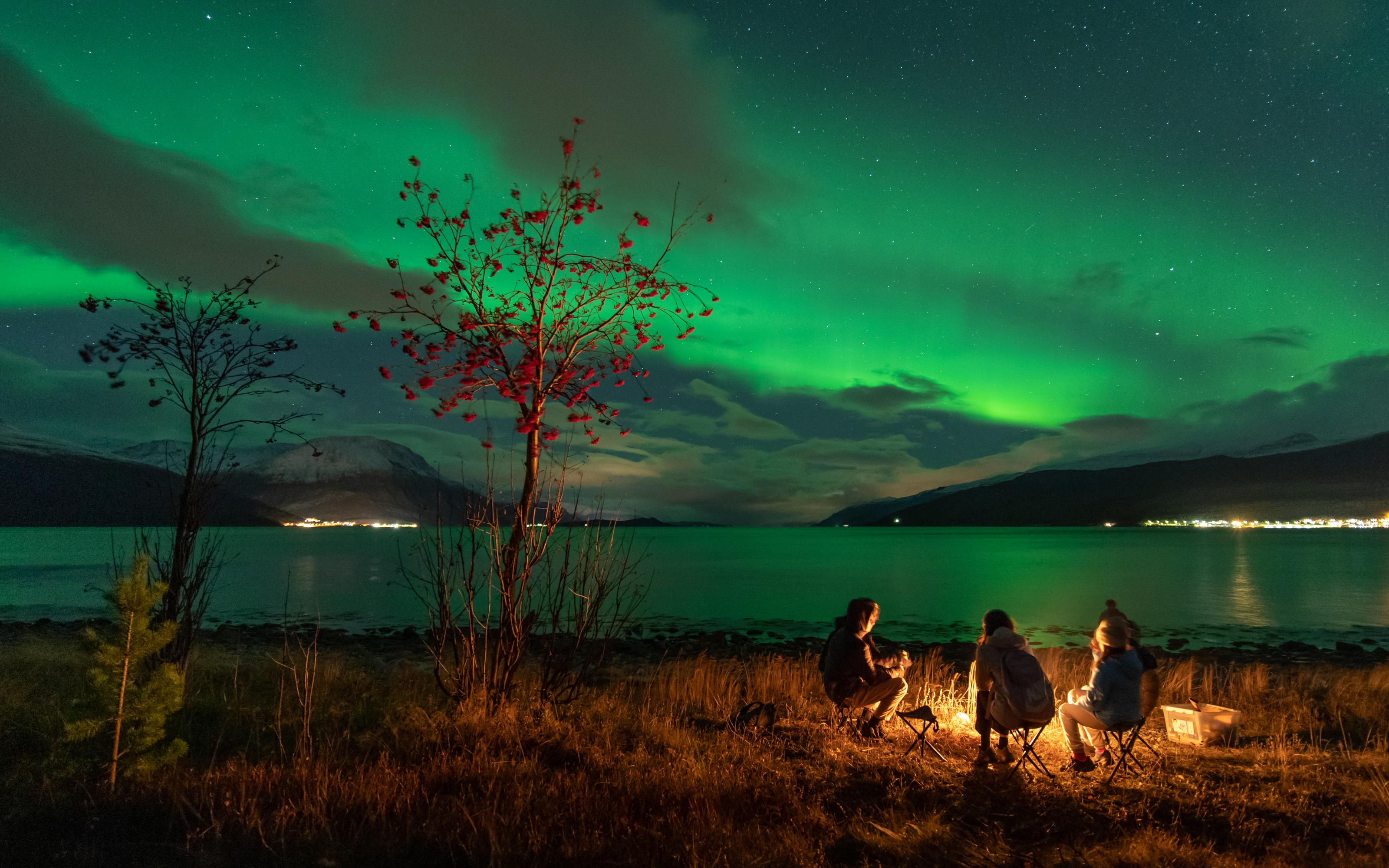 Tromsø: Northern Lights Hunt with Photos and Hot Food - 2026 (Verified Reviews)