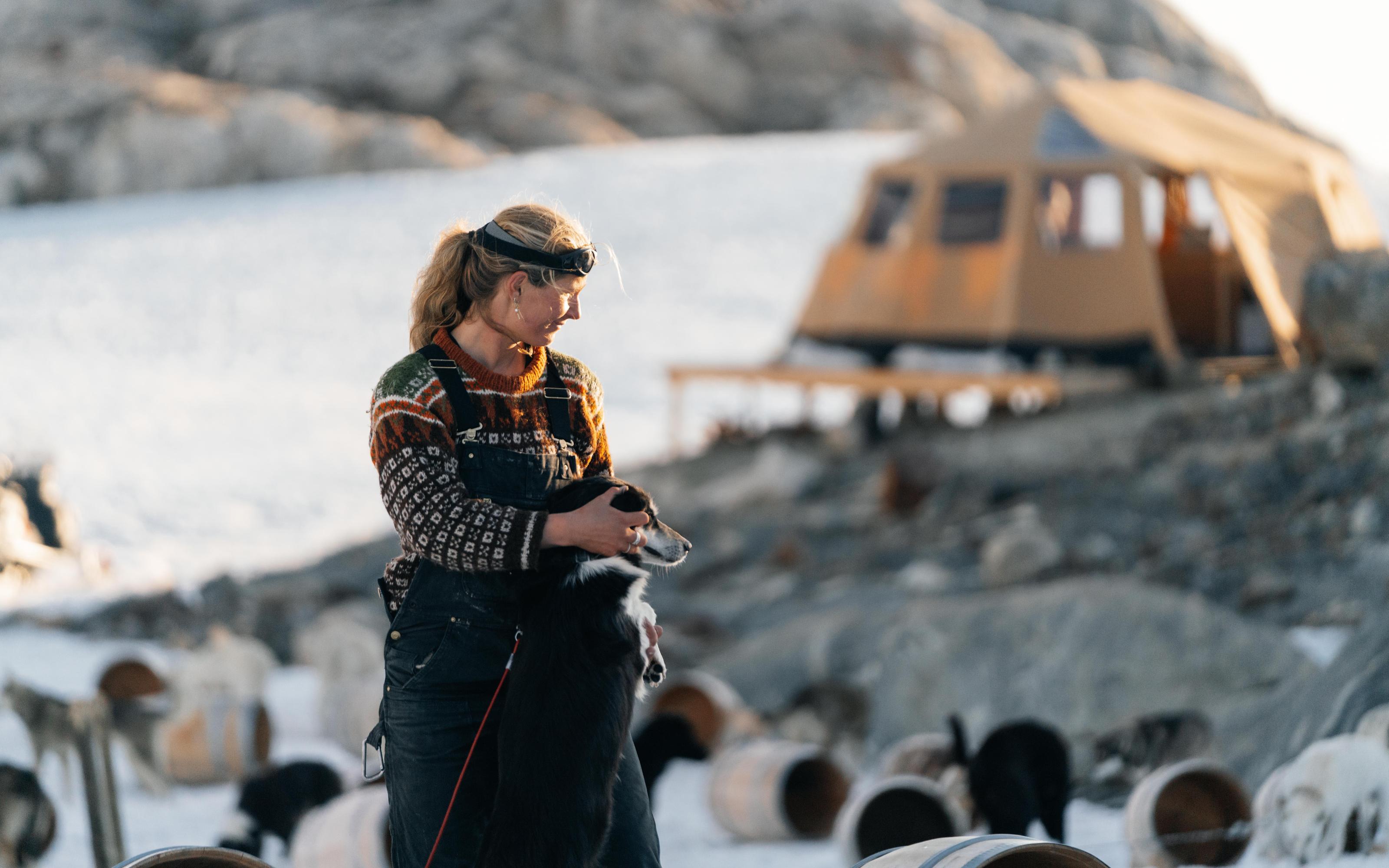 Tromsø: Dog Sledding Tour - 2026 (Verified Reviews)