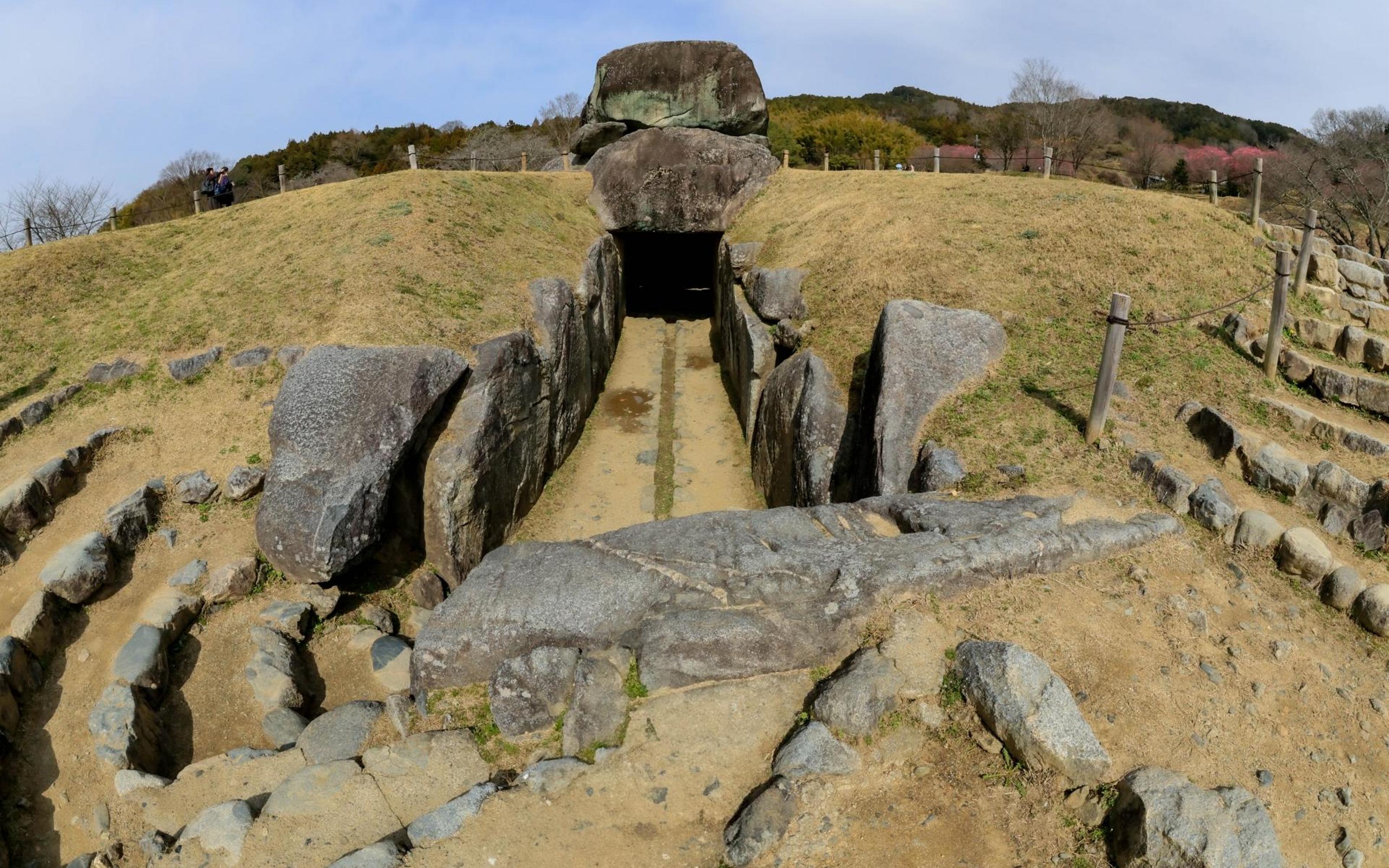 From Kyoto/Osaka: Asuka and Fujiwara Ancient Capitals Tour - 2026 (Verified Reviews)